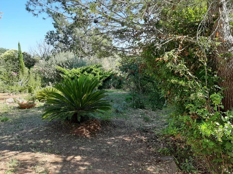 Mas Provencal Au Cannet Des Maures Ле-Канне-де-Мор Екстер'єр фото