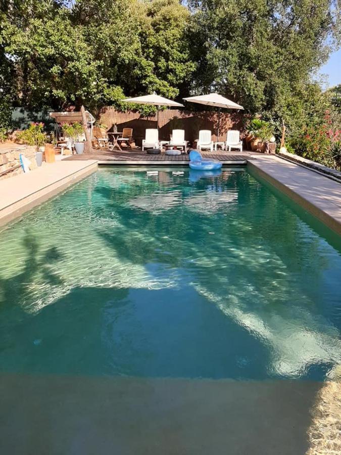 Mas Provencal Au Cannet Des Maures Ле-Канне-де-Мор Екстер'єр фото